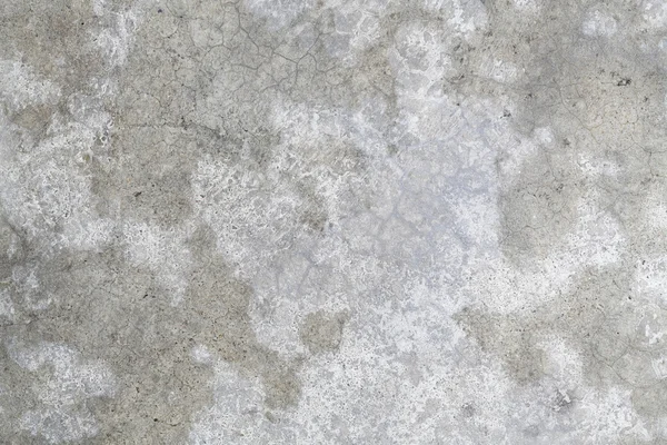 Chão de concreto molhado — Fotografia de Stock