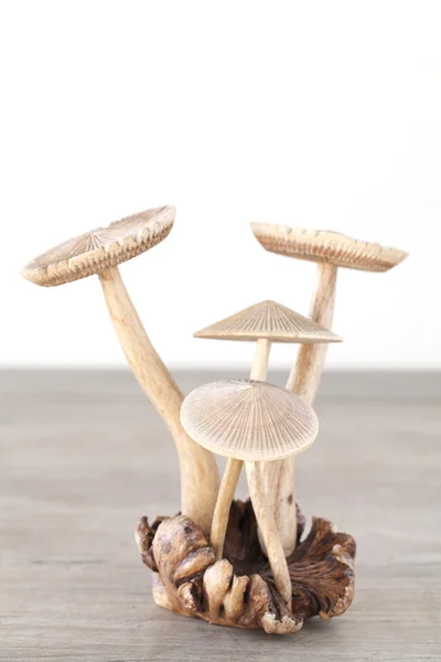 Dřevěné houby na dřevěný stůl — Stock fotografie