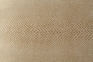 su kertenkele cilt dokusunu