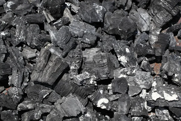 Pieu de charbon de bois Roge — Photo