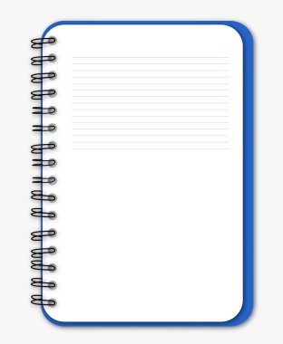 Mavi defter