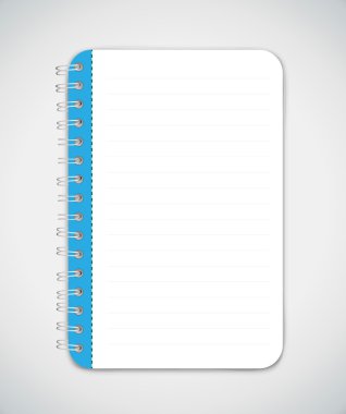Mavi defter