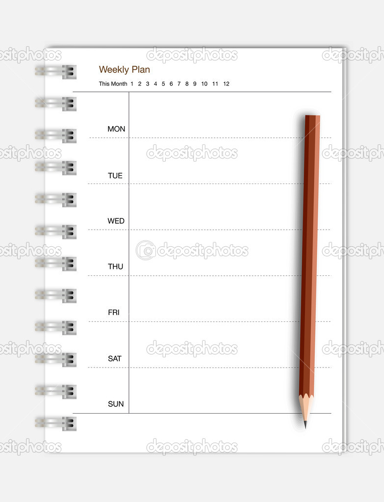 Notebook organizer and pencil