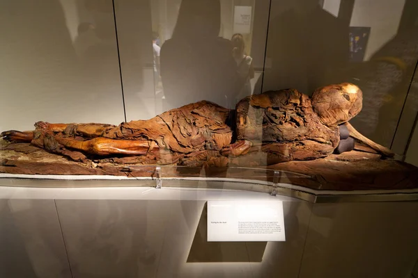 Turin Italy August 2021 Mummy Lying Position Mummification One Body — Stock Photo, Image