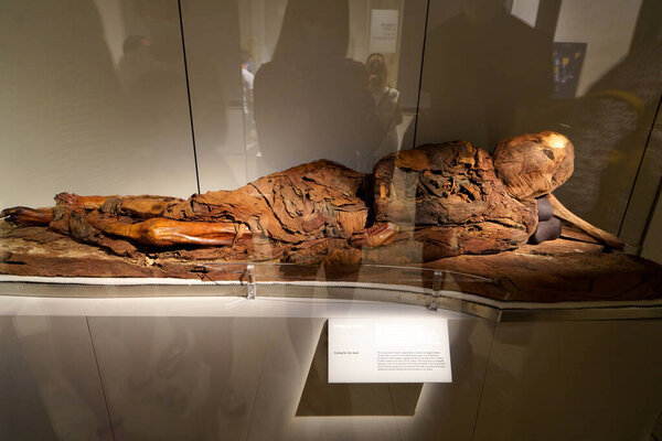 TURIN, ITALY - AUGUST 19, 2021: Mummy in a lying position. Mummification of one body during the Egyptian civilization, Egyptian Museum of Turin, Italy