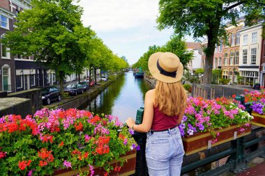 Hollanda 'da turizm. Hollanda, Lahey 'deki saksılar arasındaki güzel moda kızının arka görüntüsü.