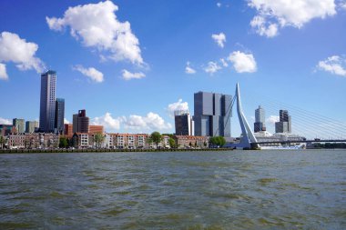 ROTTERDAM, NETHERLANDS - 9 Haziran 2022: Nieuwe Maas nehri üzerindeki Erasmusbrug köprüsü ile Rotterdam silueti
