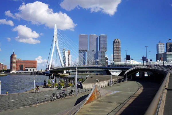 Rotterdam Netherlands June 2022 Rotterdam Skyline Erasmusbrug Bridge Skyscrapers Netherlands — 图库照片