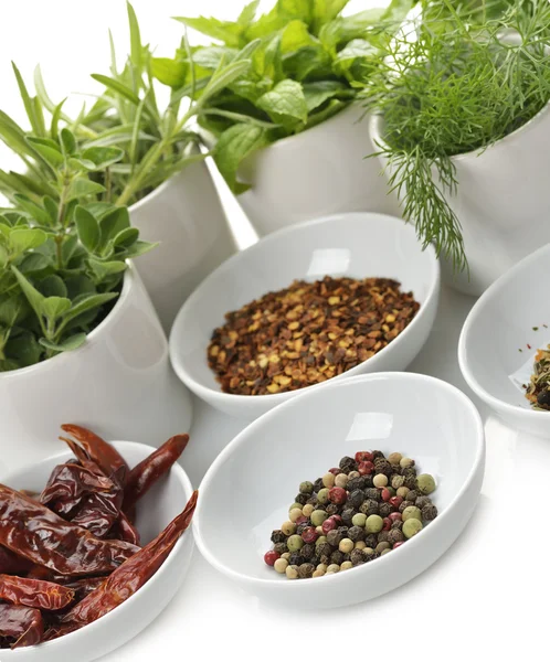 Herbs And Spices — Stock Photo, Image
