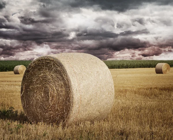 Straw Bales On A Field — Stock Photo, Image