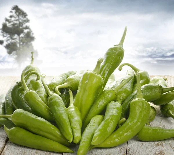 Grüner Pfeffer — Stockfoto