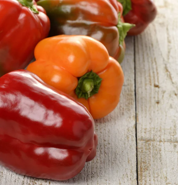 Bunte Paprika — Stockfoto