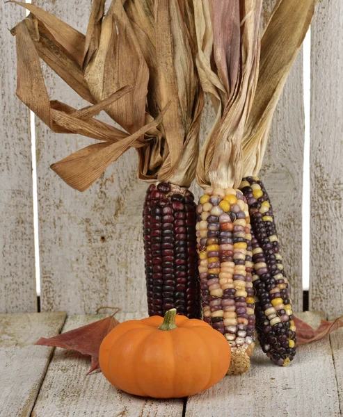 Indian Corn And Pumpkin — Stock Photo, Image