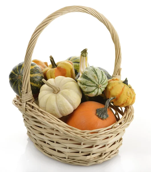 Mini calabazas — Foto de Stock