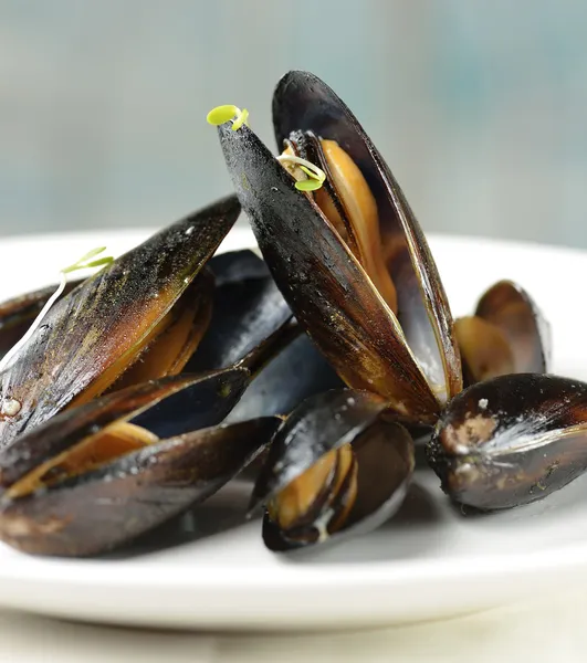 Cozze — Foto Stock