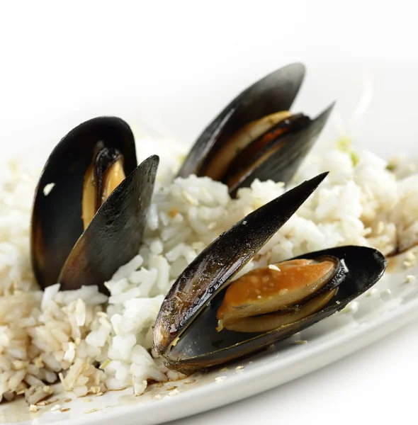 Cozze — Foto Stock