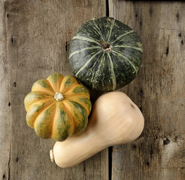 Coleta de squash — Fotografia de Stock