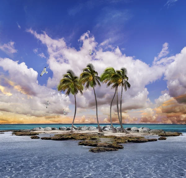 Tropische Landschaft — Stockfoto