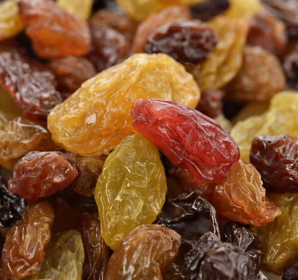 Gourmet Raisins Mix — Stockfoto