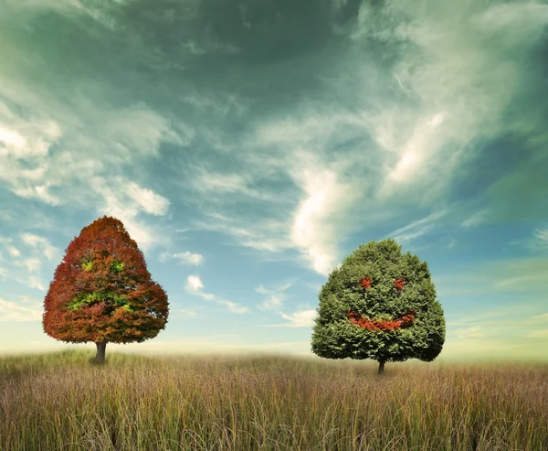 Bäume auf einem Feld — Stockfoto