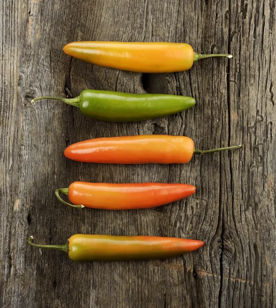 Barevné pálivá paprika — Stock fotografie