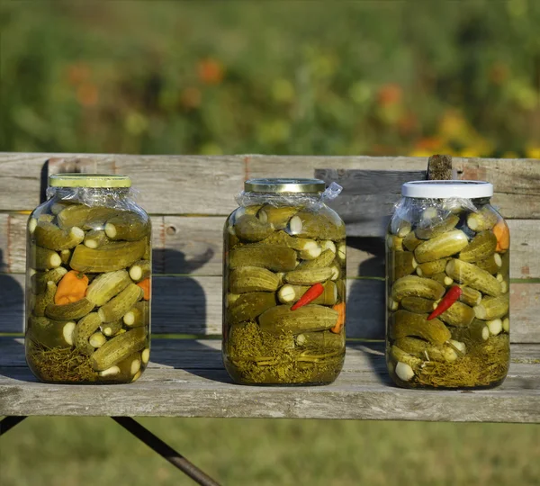 Pepinos em conserva — Fotografia de Stock