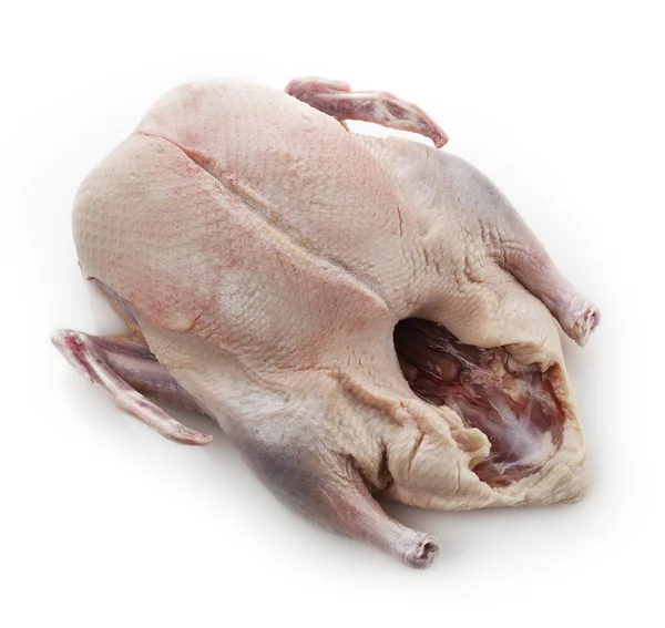 Raw Whole Duck — Stock Photo, Image