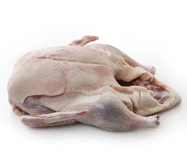 Raw Whole Duck — Stock Photo, Image