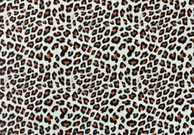 Leopard Spotlar arka plan