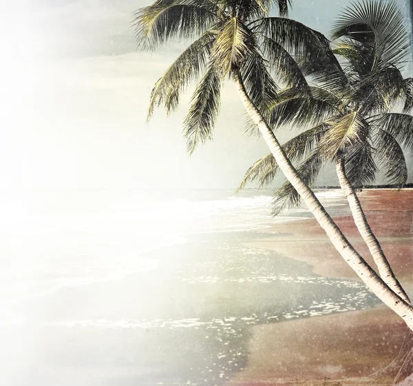 Vintage Tropical Beach Background — Stock Photo, Image