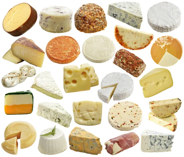 Cheese Collection — Stock Photo, Image