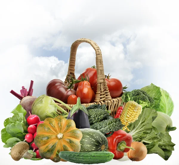 Fresh Vegetables — Stock Photo, Image