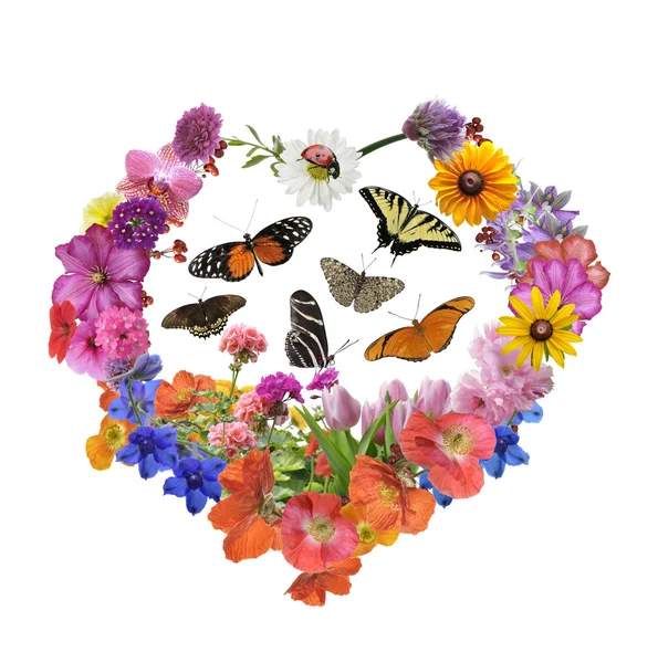 Schmetterlinge und Blumen in Herzform — Stockfoto