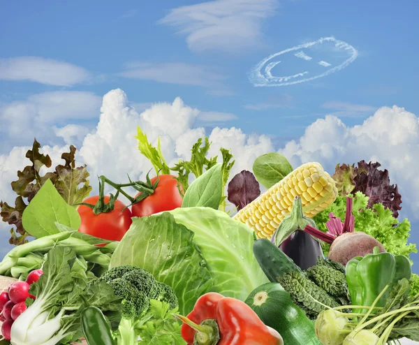 Healthy Vegetarian Food — Stock Photo, Image