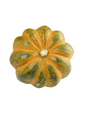 meşe palamudu kabak