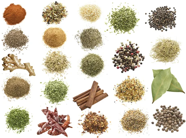 Spices Collection — Stock Photo, Image