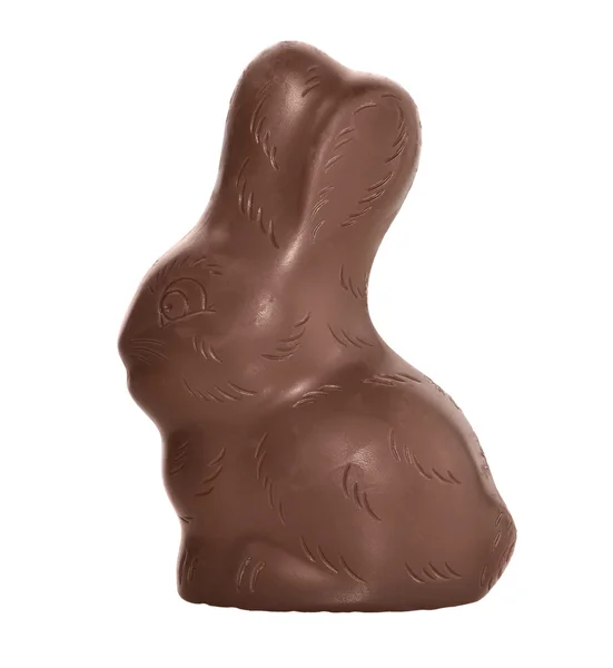 Chocolate Bunny — Stock Photo, Image