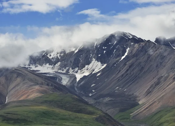 Alaska landschap in nationaal park denali — Stockfoto