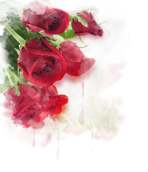 Pittura digitale delle rose rosse — Foto Stock