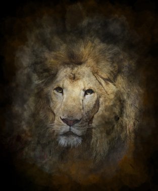 Aslan suluboya resim