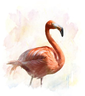 Flamingo - suluboya resim 