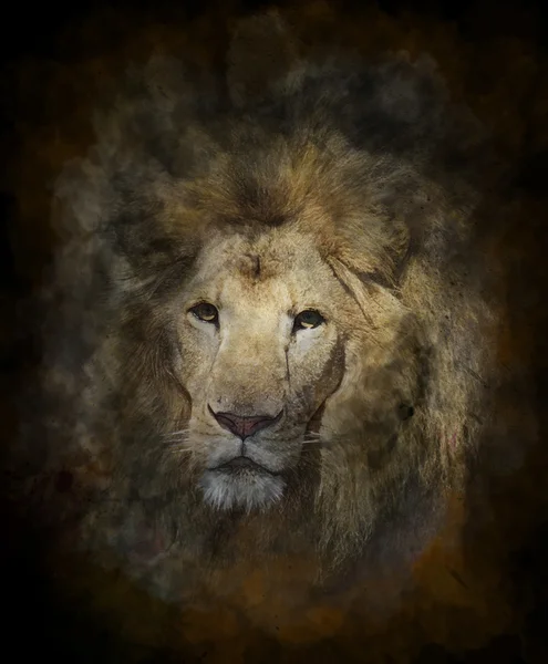 Akvarell bild av lejon — Stockfoto