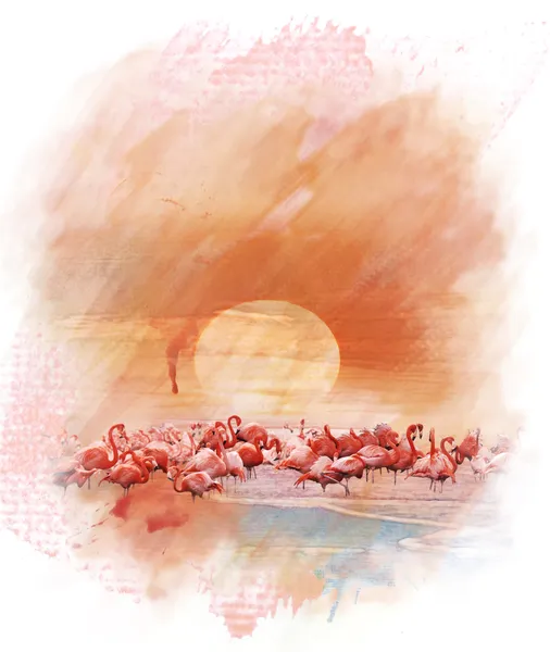 Aquarell-Bild von Flamingos — Stockfoto