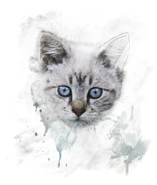 Watercolor Portrait Of Young Cat — Stock Photo, Image