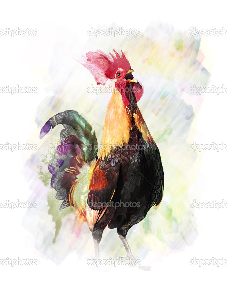 Watercolor Image Of  Rooster