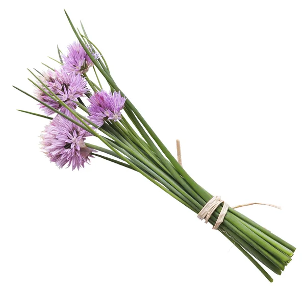 Schnittlauch mit Blumen — Stockfoto