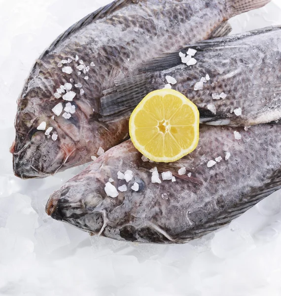 Tiefgefrorener Fisch — Stockfoto