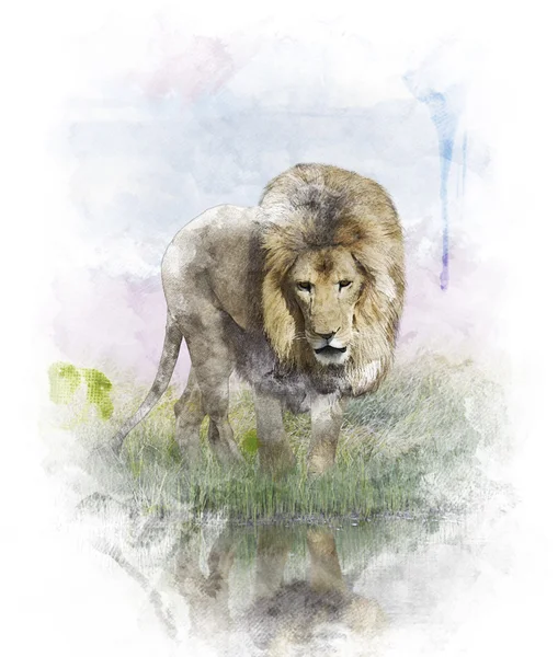 Акварельное изображение Льва — стоковое фото
