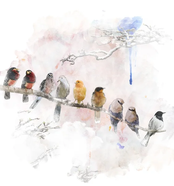 Image aquarelle d'oiseaux perchés — Photo