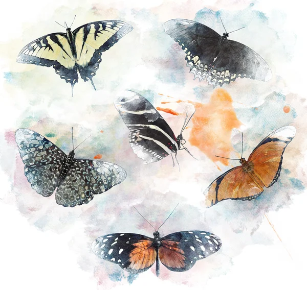 Akvarel obrázek motýlů — Stock fotografie